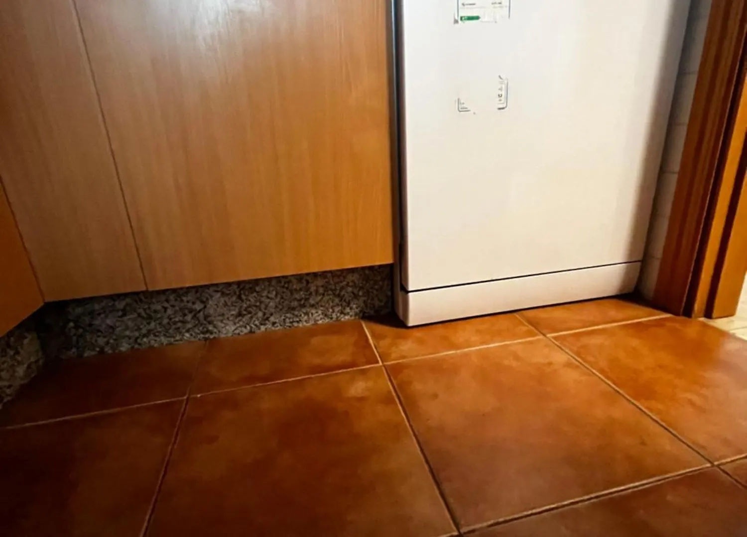 Ideal Apartamento Manilva Playa España